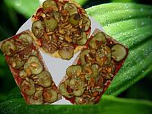 Fot. Shaera, Kanapki z ogórkiem i pestkami