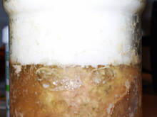 Fot. Halszka, Kiełbasa z galaretką w słoiku