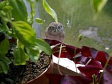 Fot. aga9999, Gość