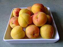 Fot. frankafiranka, Konfitury morelowe tradycyjne