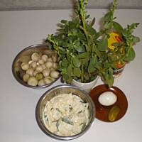 Rzodkiewka z portulaką sałatka lub pasta