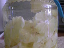 Fot. Petra, Cytrynówka krakowska