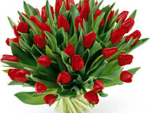 Fot. alfa_beta, Makusia ma dzisiaj imieniny:)