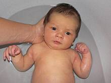 Fot. Aniula27, Mój skarb