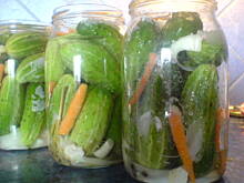 Fot. besia1803, Szybkie korniszony