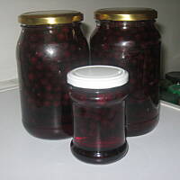 Aronia w zalewie
