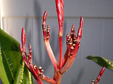 Fot. luckystar, Nareszcie !!!!!!!!!!!!!!!!