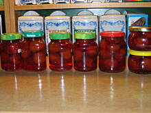 Fot. basilek, Śliwki jak korniszony