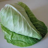 Moje  gołąbki -  krok  po  kroku