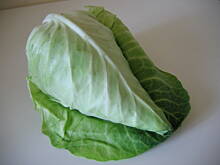 Fot. mariateresa, Moje  gołąbki -  krok  po  kroku