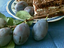 Fot. anaiss, Śliwkowiec