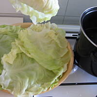 Moje  gołąbki -  krok  po  kroku