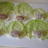 Moje  gołąbki -  krok  po  kroku