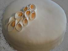 Fot. Dorotaxx, torciki