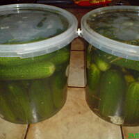 Ogorki kiszone wg kuleczki