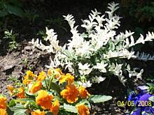 Fot. Teresa.Marcjan, Moje miasto....moja ziemia  ojczysta...