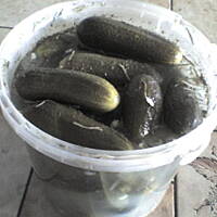 Ogorki kiszone wg kuleczki