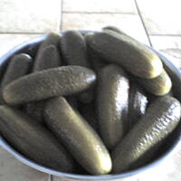 Ogorki kiszone wg kuleczki