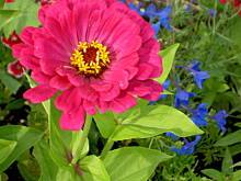 Fot. tineczka, W dzien to tak:)