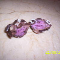 czekoladki owoce morza o smaku owoców leśnych