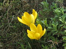 Fot. kamaxyz, Ale...się narobiło i nie tylko..bo serce matki....