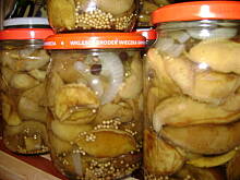 Fot. kisiel, Grzybki w occie od Hani