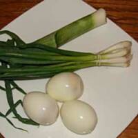 Pasta jajeczno-porowa do kanapek