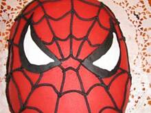 Fot. aloiram, Tort Spiderman