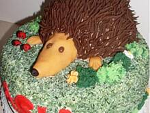 Fot. Dorotaxx, Tort jeż