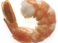 Fot. tineczka, Krewetki marynowane w smietanie kokosowej