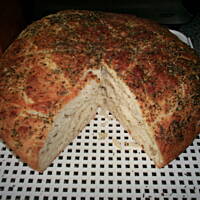 chlebek australijski