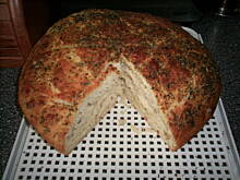 Fot. gitan, chlebek australijski