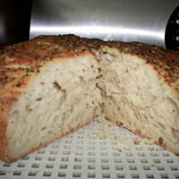 chlebek australijski