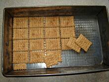 Fot. ania5825, Mannowiec Ani