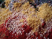 Fot. ania5825, Ogórki - z pieprzem