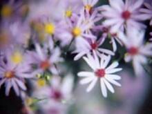 Fot. kamaxyz, Jesień naszego życia