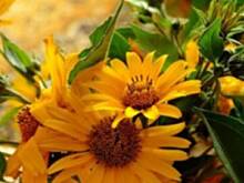 Fot. kamaxyz, nasze recepty dla umysłu i ciała,,,,w wakacyjne popołudnie