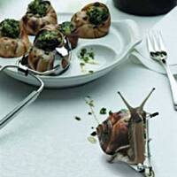 ślimaki afrykańskie - przystawka po burgundzku