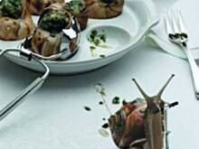 Fot. snails garden, ślimaki afrykańskie - przystawka po burgundzku