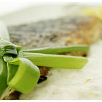 Dorada z patelni w sosie cytrynowo-imbirowym