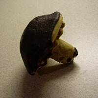 Grzybki Z Masą Orzechową