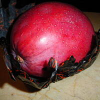 pralinki z nadzieniem mango