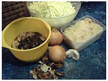 Fot. besia1803, Jeszcze jeden przepis na BIGOS z piekarnika