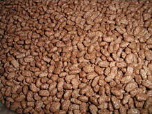 Fot. patysiapysia, deser jajo śmietankowo-czekoladowo-brzoskwiniowy