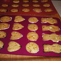 magdalenki pomarańczowo-miodowe z czekoladami