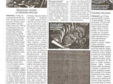 Fot. Teresa.Marcjan, chlebek  swiąteczny z suszonymi owocami