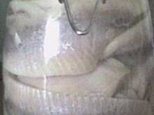 Fot. kuleczka, Matjesy w occie wg kuleczki