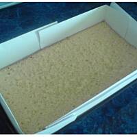 Śmietanowiec besi1803