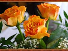 Fot. crystal, BODEK obchodzi dzis swoje urodziny!