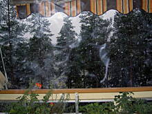 Fot. tineczka, pierwszy snieg